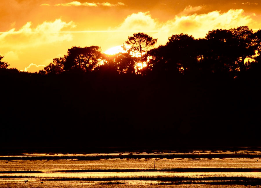 Club et abonnement surf au Porge